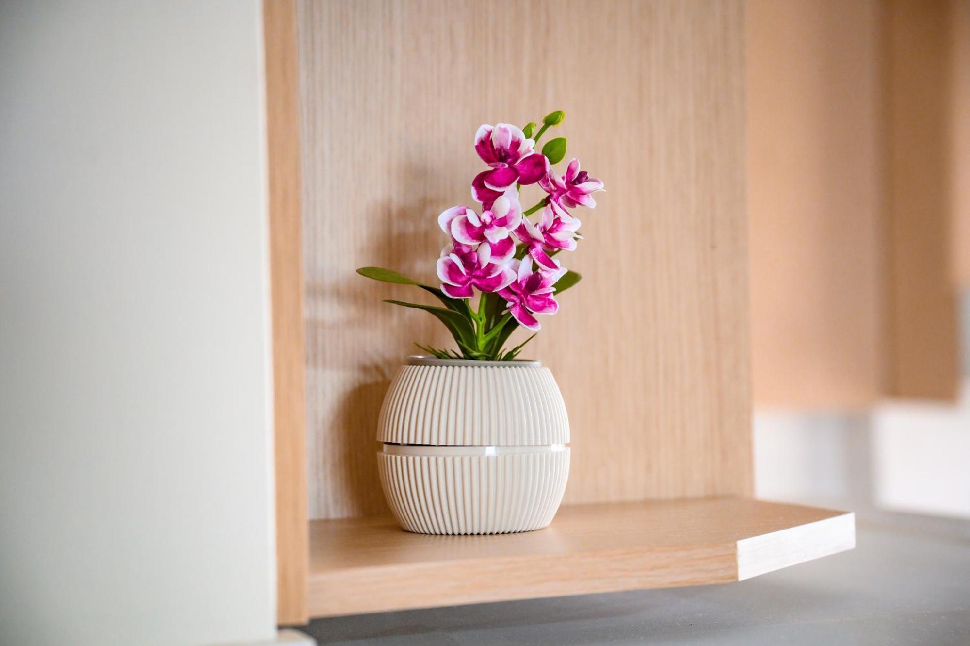 Iliahtida Apartments Rovies Dış mekan fotoğraf